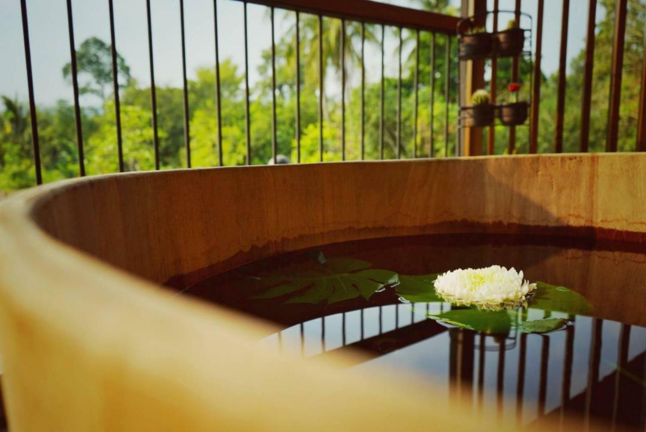 บ้านกิมบ่เซี่ยง @ เขาใหญ่ Ban Khok Sung  ภายนอก รูปภาพ