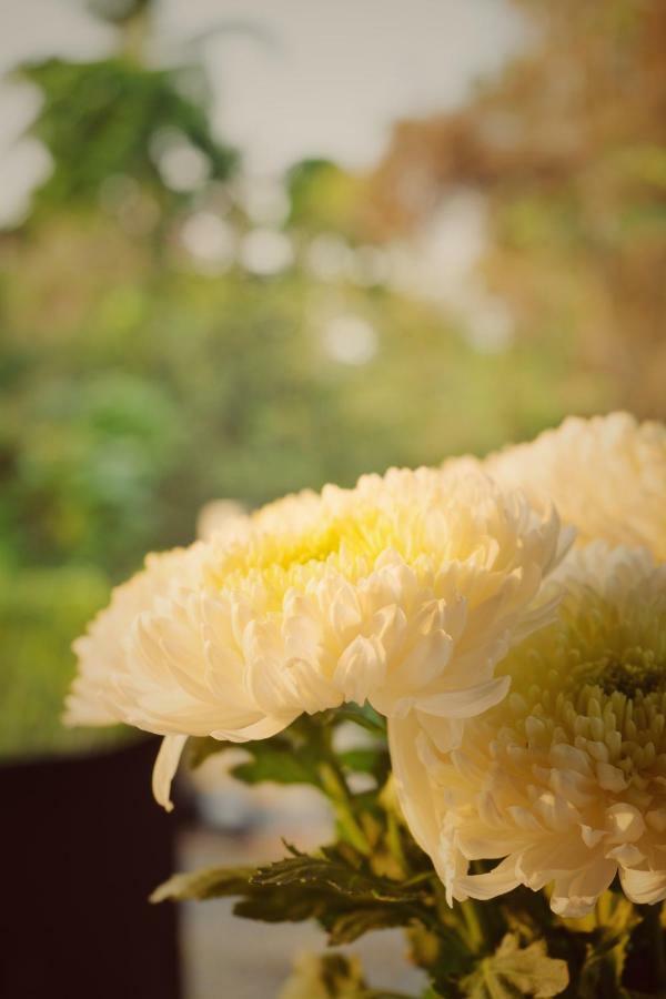 บ้านกิมบ่เซี่ยง @ เขาใหญ่ Ban Khok Sung  ภายนอก รูปภาพ